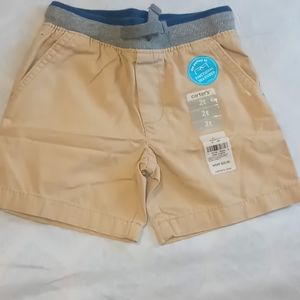 Toddler Boy's Shirts